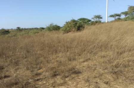 Terrain agricole de 9 m² à Taiba Ndiaye