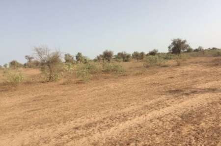 Terrain Agricole de 1,01 ha à Thiénaba