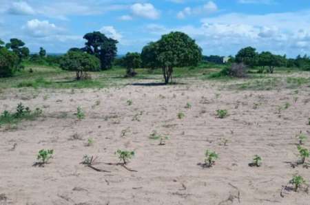 Terrain agricole de 1,88 ha vers Keur Moussa