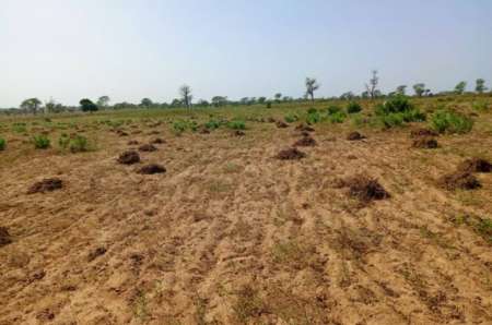 Terrain agricole 2 ha vers Ndieyéne Sirakh
