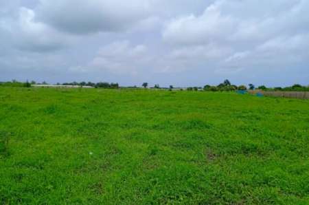 Terrain agricole de 13 ha vers Nghaye