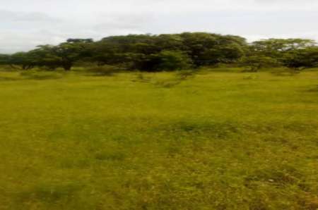 Terrain agricole de 3 ha vers Ngueniene