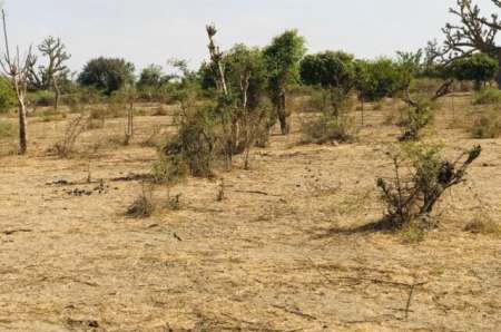 Terrain agricole de 5093 m² vers Mont Rolland