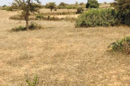 Terrain agricole de 4142 m² vers Mont Rolland