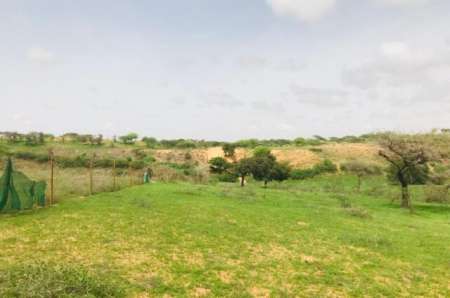 Verger agricole de 2,50 ha vers Diokoul Diawrigne