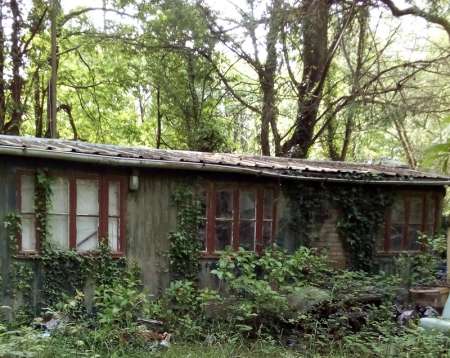 terrain dont foret avec maisonnette...............