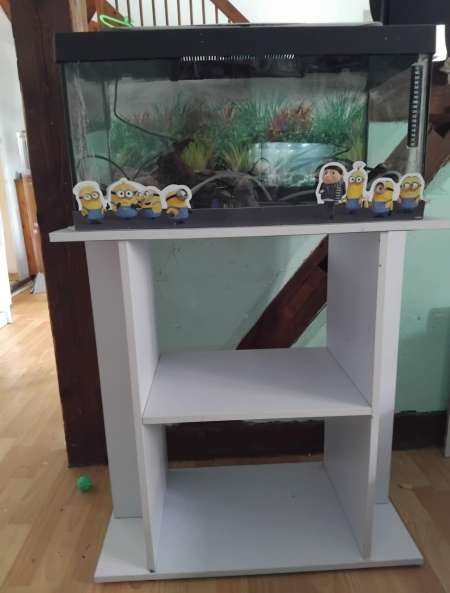 aquarium