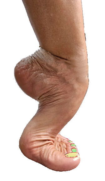 recherche pied cambré pour seance photo