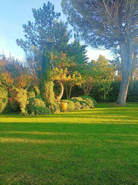 viager sans rente***