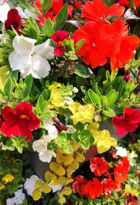 Massage sensuel éveil des sens