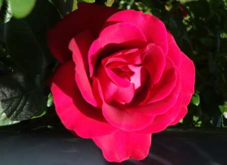 Massage relaxant naturiste