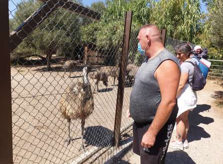 Chauffeur VL ou Poids Lourds