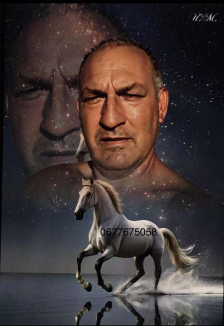 Colocation entre hommes bisexuel