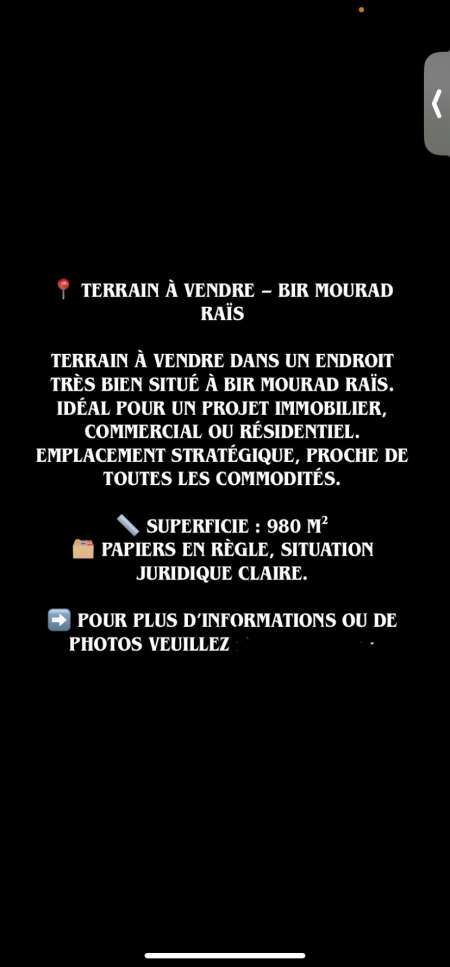 Terrain a vendre- bir mourad raïs