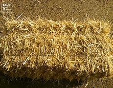 blé ,avoine , orge, miel