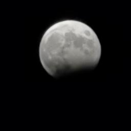 Modèle vivant amateur