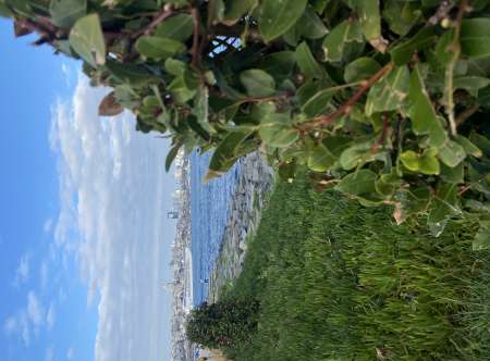 Recherche femme kabyle pour mariage