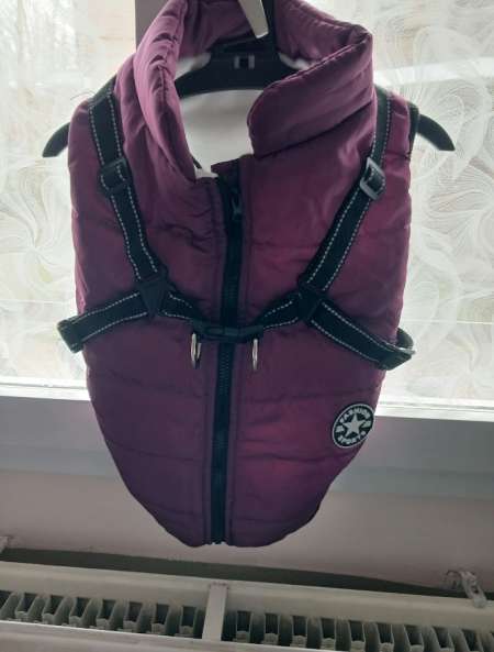 habit pour petit manteau tous temps