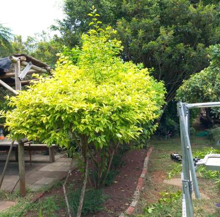 Je cherche du travail