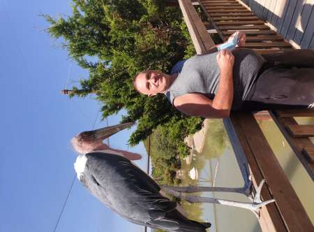 Cherche activité complementaire