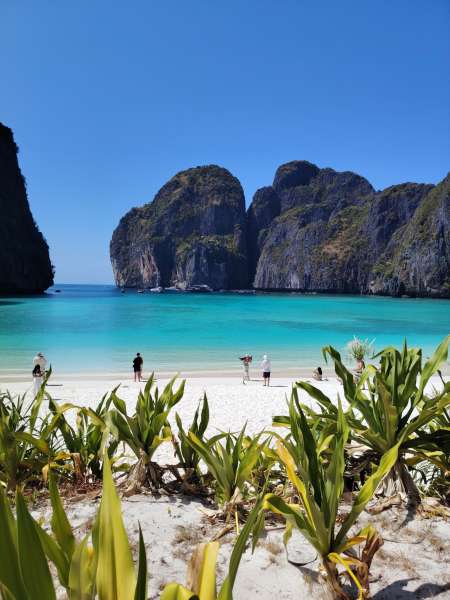 Recherche personne voulant se faire raser les chev