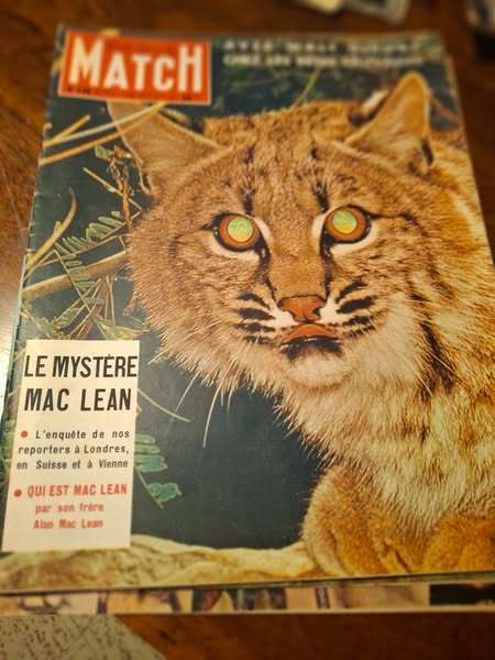 Vide-greniers à IZIEU AIN le 12 avril de10 à 18 H