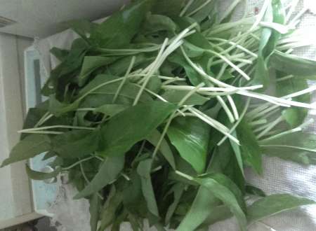 ail des ours frais ou déshydraté