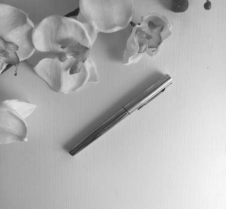 Stylo plume Waterman