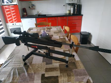 Ruger a plomb avec jumelle et suport