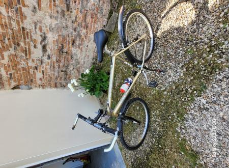 Vélo homme très bon état