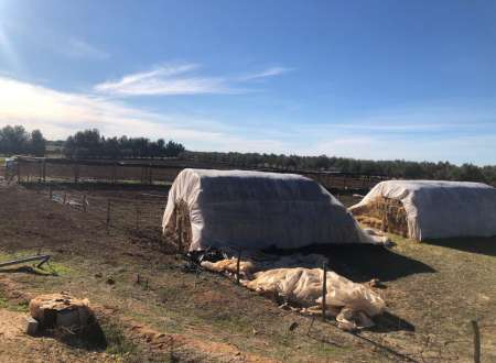 Vente terrain agricole 15 hectates équipé