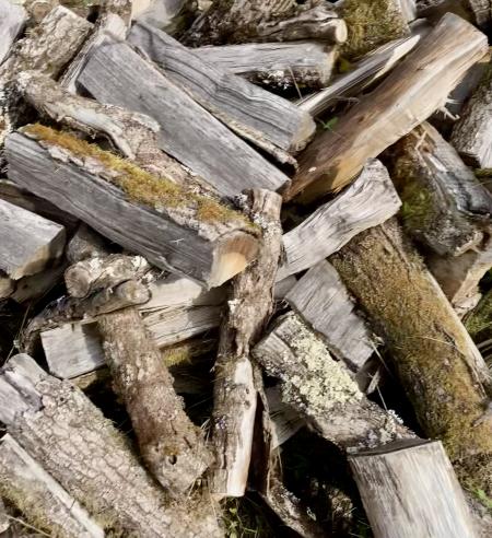 Bois de chauffage bien sec