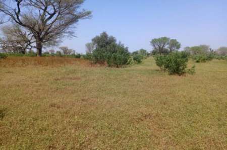 Terrain agricole de 4 ha vers Thiénaba