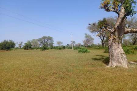 Terrain agricole 8,77 ha Thiénaba