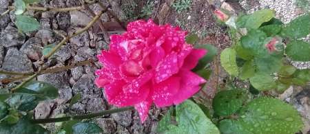 H 60 ans recherche petit boulot