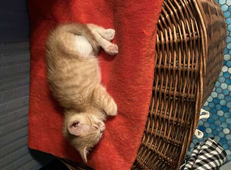 Recherche jf ou f de ménage majeur