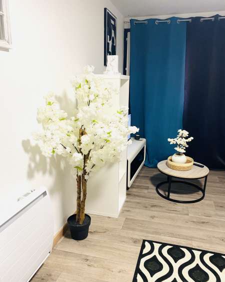 Prothésiste ongulaire