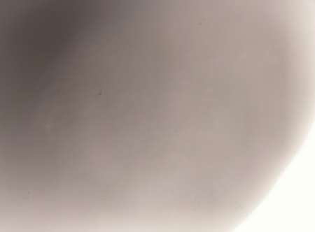 Jeune femme de 23 ans cherche logement