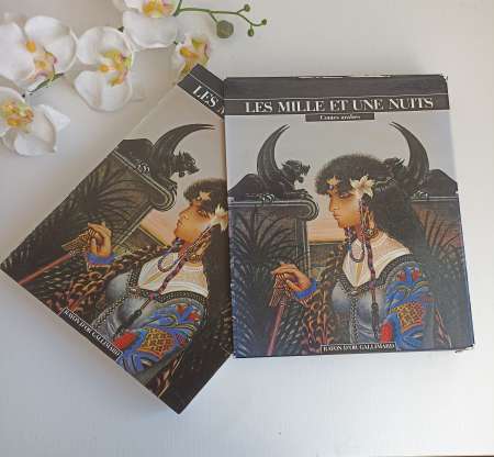 Beau livre de collection Les mille et une nuits