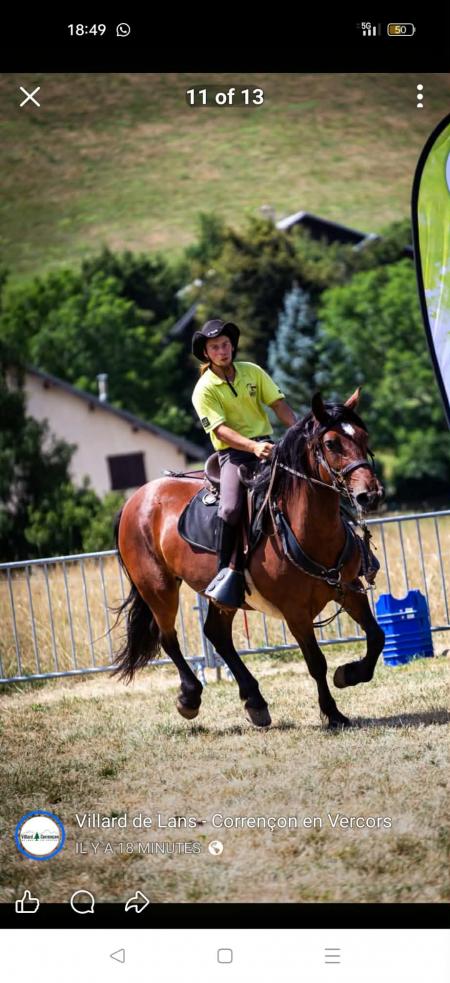 Homme cherche femme/ jument et étalon